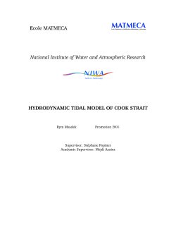 Hydrodynamic tidal model of Cook Strait