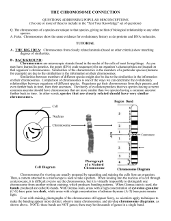 the chromosome connection - Indiana University Bloomington