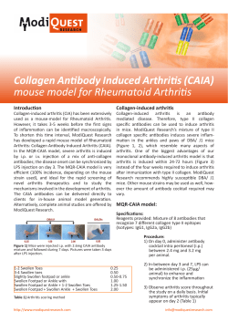 (CAIA) mouse model for Rheumatoid Arthrifis
