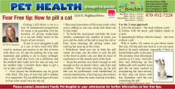 Fear Free tip: How to pill a cat