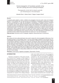 Clonal propagation of Eucalyptus grandis using the mini