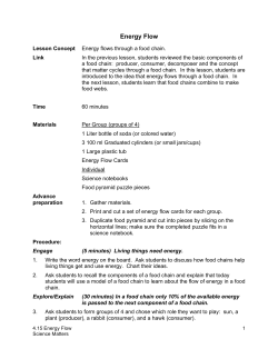 4.14 Energy Flow - Science Matters
