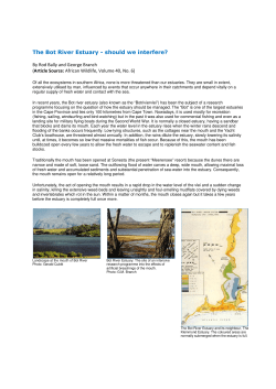 The Bot River Estuary - should we interfere?
