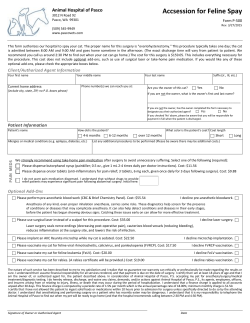 Accession for Feline Spay - Animal Hospital of Pasco