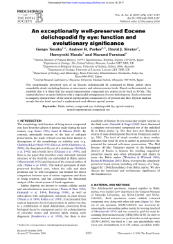 An exceptionally well-preserved Eocene dolichopodid fly eye