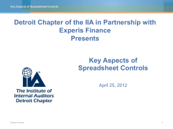Key Aspects of Spreadsheet Controls Detroit Chapter of the IIA in