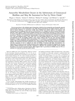 Anaerobic Metabolism Occurs in the Substratum of