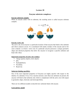 Lecture 20 Enzyme substrate complexes