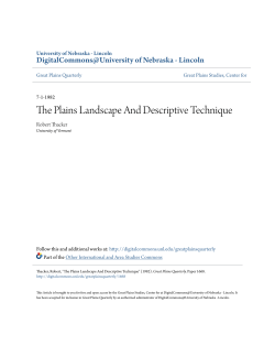 The Plains Landscape And Descriptive Technique