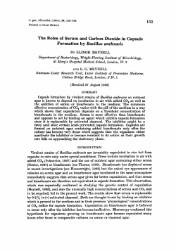 The Roles of Serum and Carbon Dioxide in Capsule Formation by