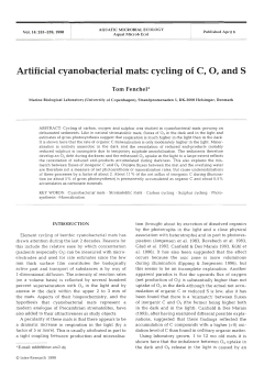 Artificial cyanobacterial mats: cycling of C, 0, and S