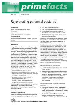 Rejuvenating perennial pastures