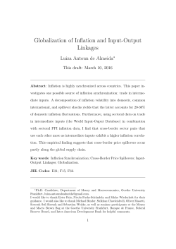 Globalization of Inflation and Input