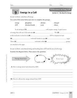 Energy in a Cell