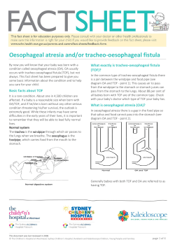 English - The Sydney Children`s Hospitals Network