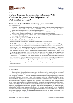 Nature Inspired Solutions for Polymers: Will Cutinase Enzymes