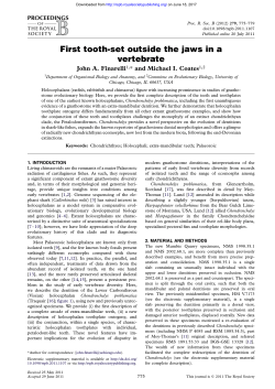 First tooth-set outside the jaws in a vertebrate
