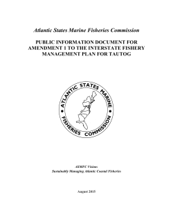 Public Information Document for Amendment 1 to the Interstate