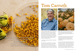 Tom Carruth`s