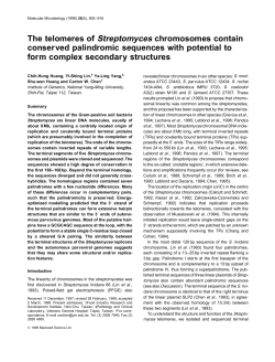 The telomeres of Streptomyces chromosomes contain conserved