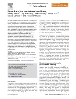 Dynamics of the translational machinery