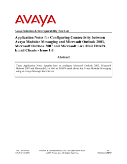 Application Notes for Configuring Connectivity between Avaya