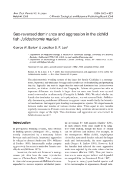 Sex-reversed dominance and aggression in the cichlid fish