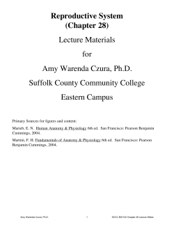 Slides - Suffolk County Community College