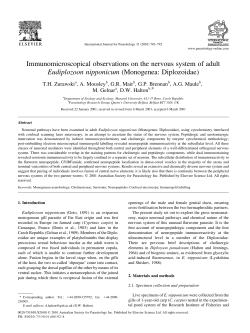 Immunomicroscopical observations on the nervous system of adult