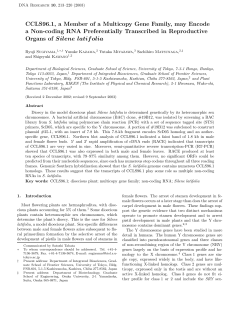 CCLS96.1, a Member of a Multicopy Gene Family, may Encode a
