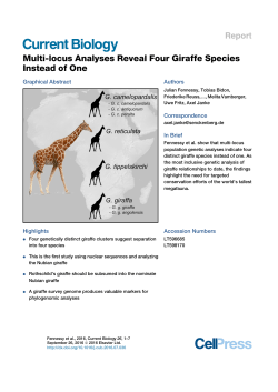 Multi-locus Analyses Reveal Four Giraffe Species