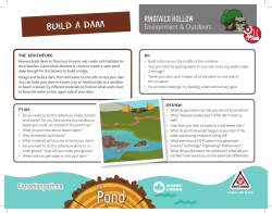 Build a Dam - Scouting Life