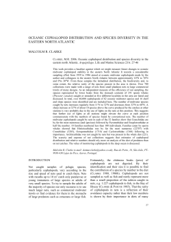 oceanic cephalopod distribution and species diversity in the eastern
