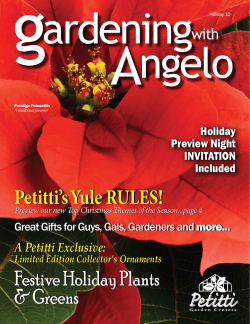 Petitti Garden Center