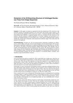 Extraction of the 3D Branching Structure of Unfoliaged Decidu