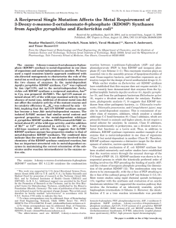 A Reciprocal Single Mutation Affects the Metal Requirement of 3