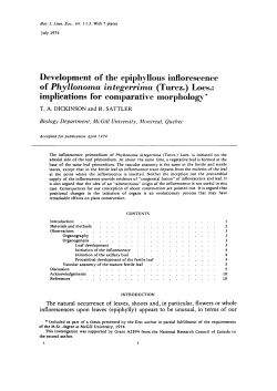 implications for comparative morphology