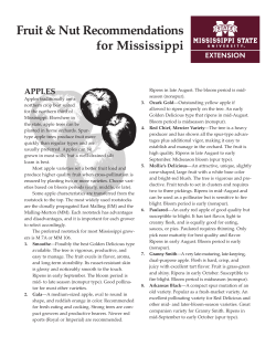 P0966 Fruit and Nut Recommendations for Mississippi