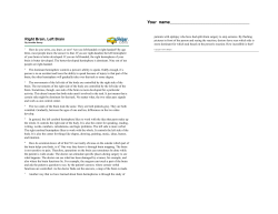 right brain-left brain