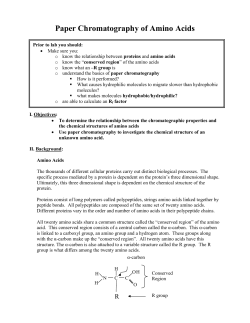 Paper Chromatography of Amino Acids