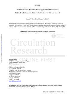 The Mitochondrial Dynamism-Mitophagy
