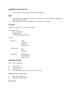 SEDIMENTARY ROCKS: