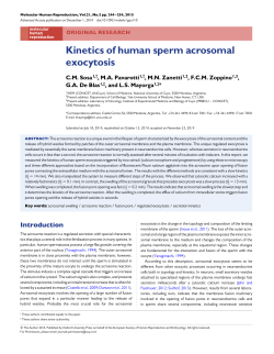 Kinetics of human sperm acrosomal exocytosis