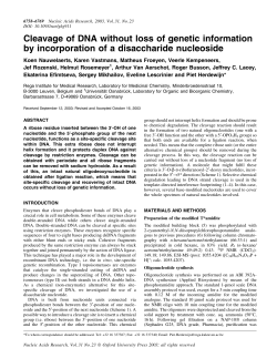 Cleavage of DNA without loss of genetic information by