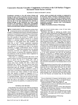 Consecutive Enzyme Cascades: Complement Activation at the Cell