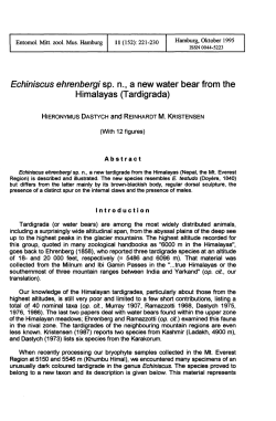 Echiniscus ehrenbergi Sp. n., a new water bear from the Himalayas