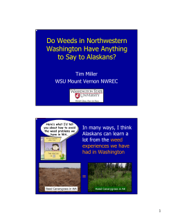 Do Weeds in Northwestern Washington Have Anything to Say to