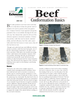 Conformation Basics - Alabama Cooperative Extension System