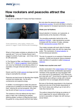 How rockstars and peacocks attract the ladies