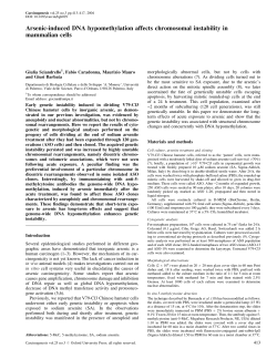 Arsenic-induced DNA hypomethylation affects chromosomal